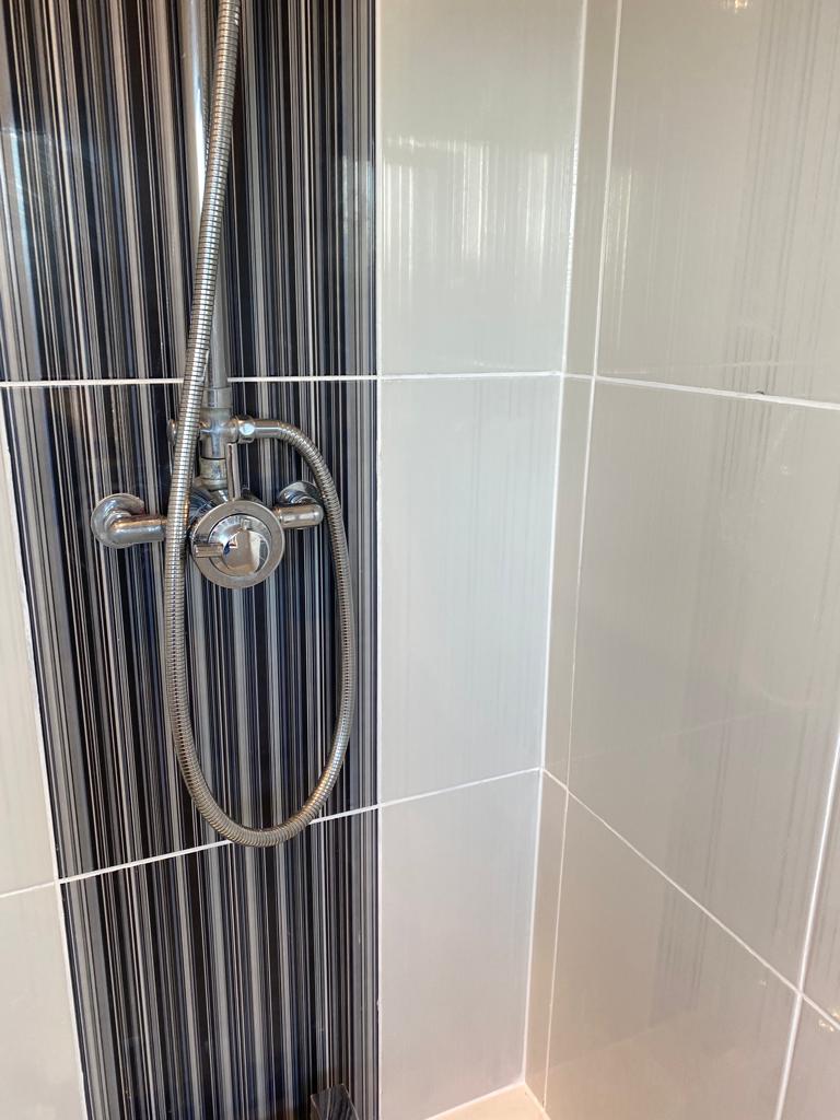 Shower glass and grout restored